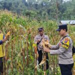 Polres Ponorogo Sahabat Petani, Dampingi Warga Wujudkan Swasembada Pangan