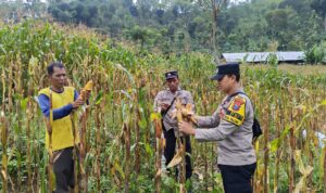 Polres Ponorogo Sahabat Petani, Dampingi Warga Wujudkan Swasembada Pangan