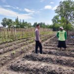 Dampingi Masyarakat Berkebun, Bhabinkamtibmas Berkolaborasi dengan Petani Dukung Pemerintah Wujudkan Ketahanan Pangan