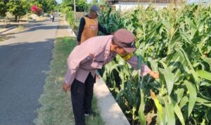 Sambangi Lahan Pertanian, Bhabinkamtibmas Desa Blimbing Berikan Motivasi kepada Petani