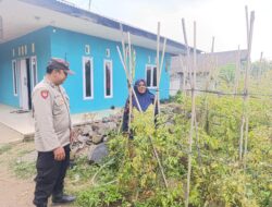 Bhabinkamtibmas Polsek Nongkojajar Pantau Tanaman Cabe, Dukung Program Ketahanan Pangan Nasional