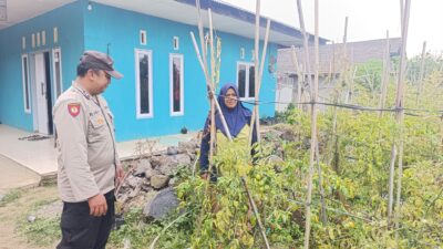 Bhabinkamtibmas Polsek Nongkojajar Pantau Tanaman Cabe, Dukung Program Ketahanan Pangan Nasional