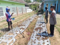 Polsek Nongkojajar Pantau Tanaman Bawang Putih, Dukung Program Ketahanan Pangan Nasional